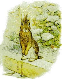 Peter Rabbit - Dibujo de Beatrix Potter
