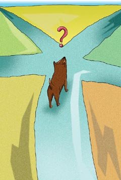 Imagen por Omar Panosetti