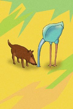 Imagen por Omar Panosetti