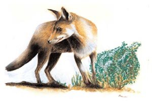 Imagen por Omar Panosetti