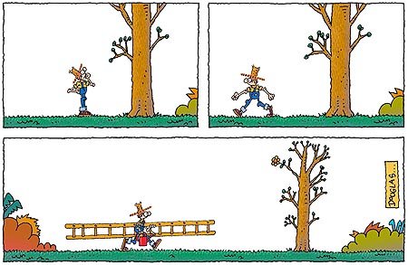 Dibujo de Douglas Wright