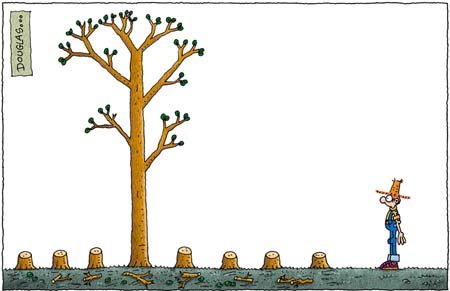 Dibujo de Douglas Wright