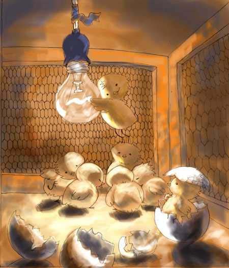 Imagen por Diego Vasquez