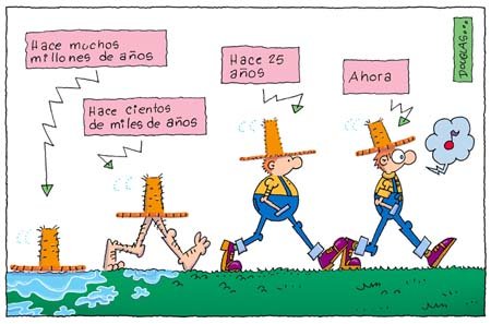Dibujo de Douglas Wright