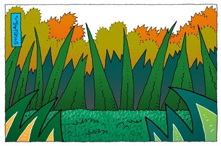 Dibujo de Douglas Wright