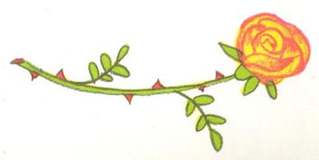 Imagen tomada del libro